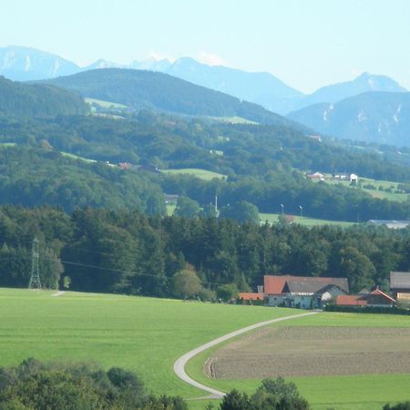 Landgasthof Franz Josef Straßwalchen Exterior foto